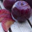 Seetalvan food (6)